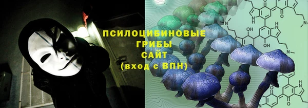 COCAINE Ладушкин