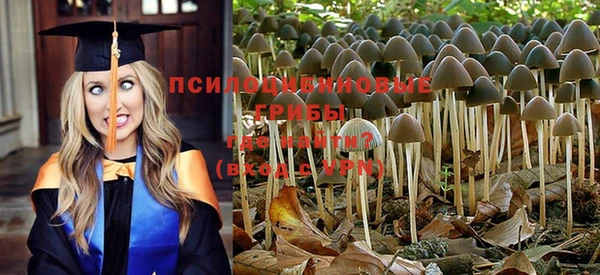 гидропоника Каменногорск