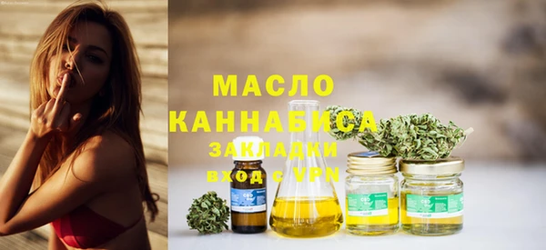 дмт Каменка