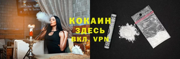 дмт Каменка