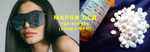 дмт Каменка