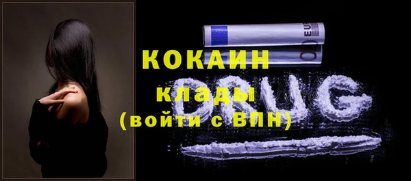 дмт Каменка