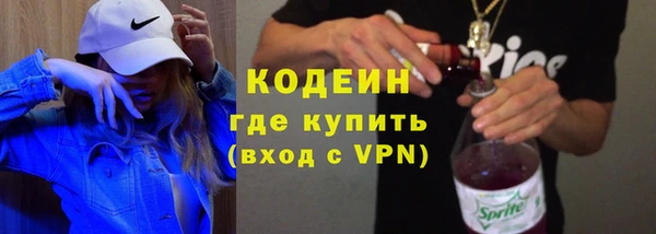 дмт Каменка