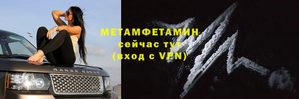 дмт Каменка