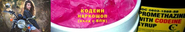 дмт Каменка