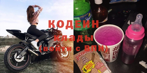 дмт Каменка