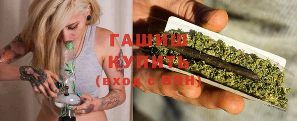 дмт Каменка
