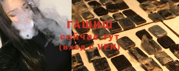дмт Каменка