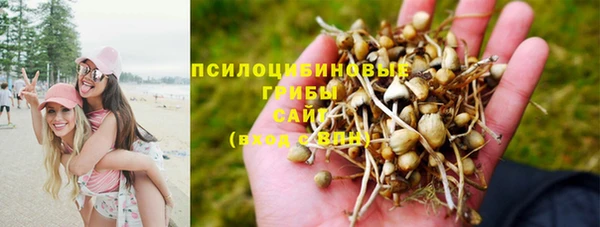 мефедрон мука Каменск-Шахтинский