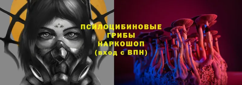 Галлюциногенные грибы GOLDEN TEACHER  Орехово-Зуево 